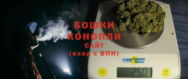 СК Каменногорск