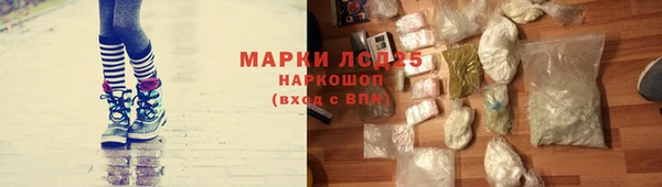СК Каменск-Шахтинский