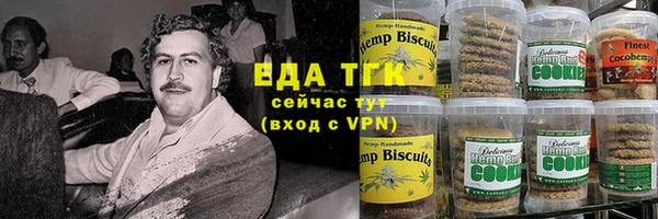 СК Каменск-Шахтинский