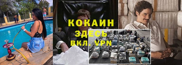 СК Каменногорск
