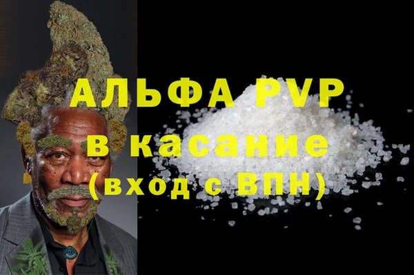 СК Каменногорск