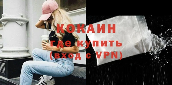 СК Каменногорск