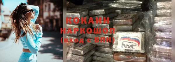 СК Каменногорск